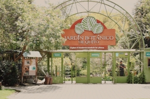 Imagen Jardín Botánico 